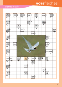 1-MAG-VIERGE-(Side-17)